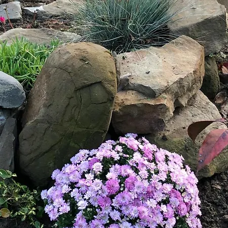 Holiday home Mountain View Vacation