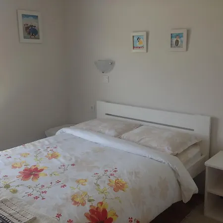 Mountain View Vacation Tatil Evi