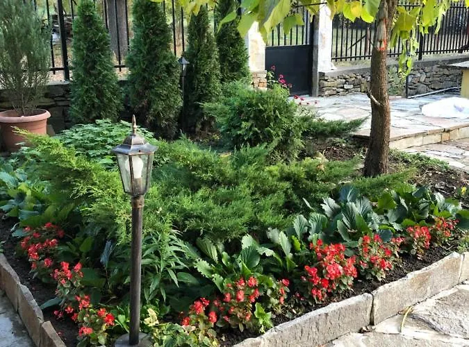 Mountain View Vacation 別荘 Balabanska