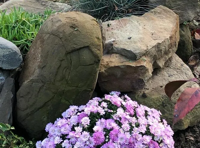 別荘 Mountain View Vacation