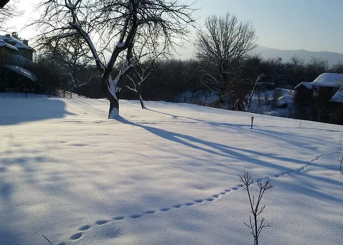 Mountain View Vacation * Balabanska